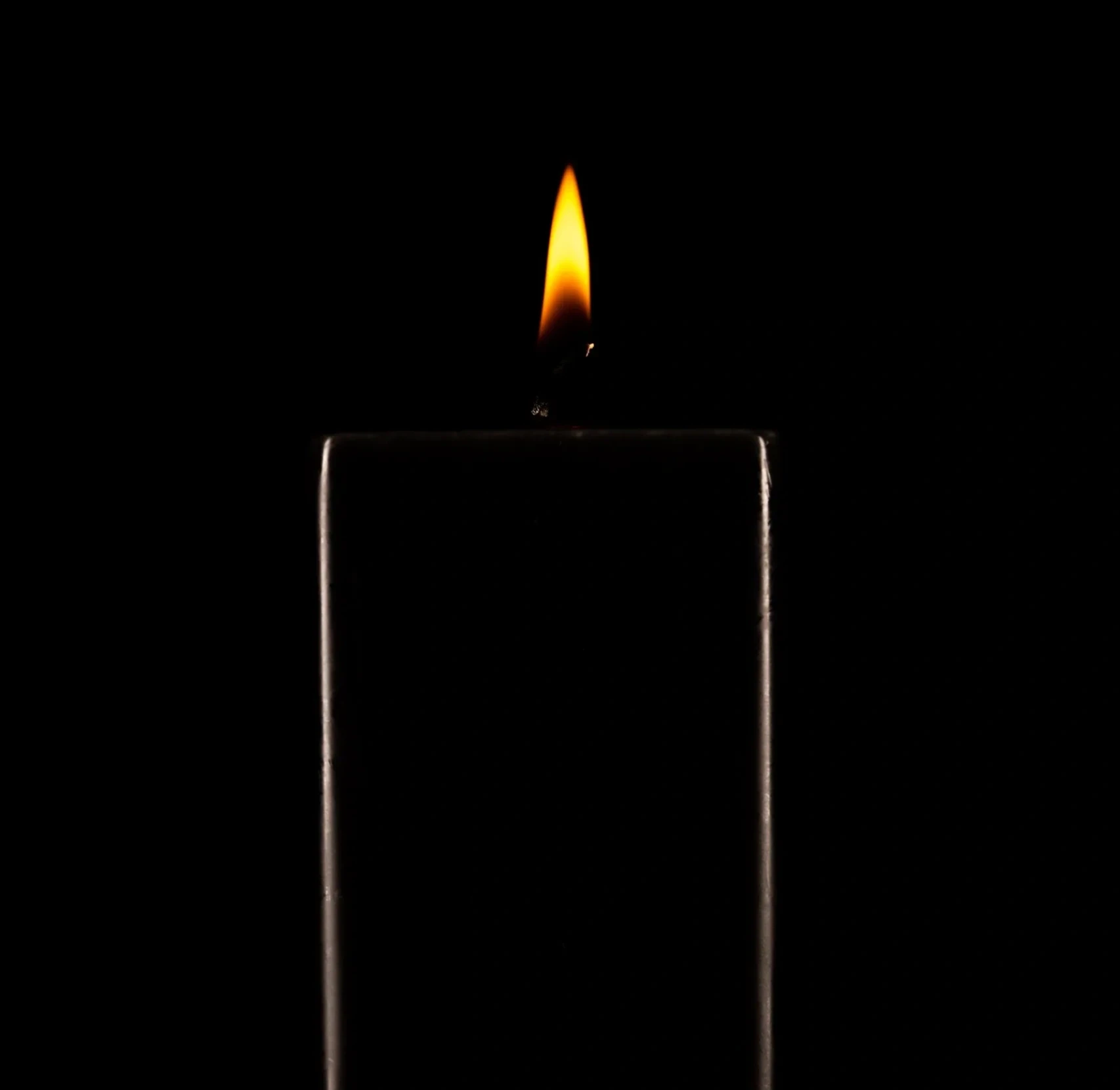 Midnight Bloom Candle